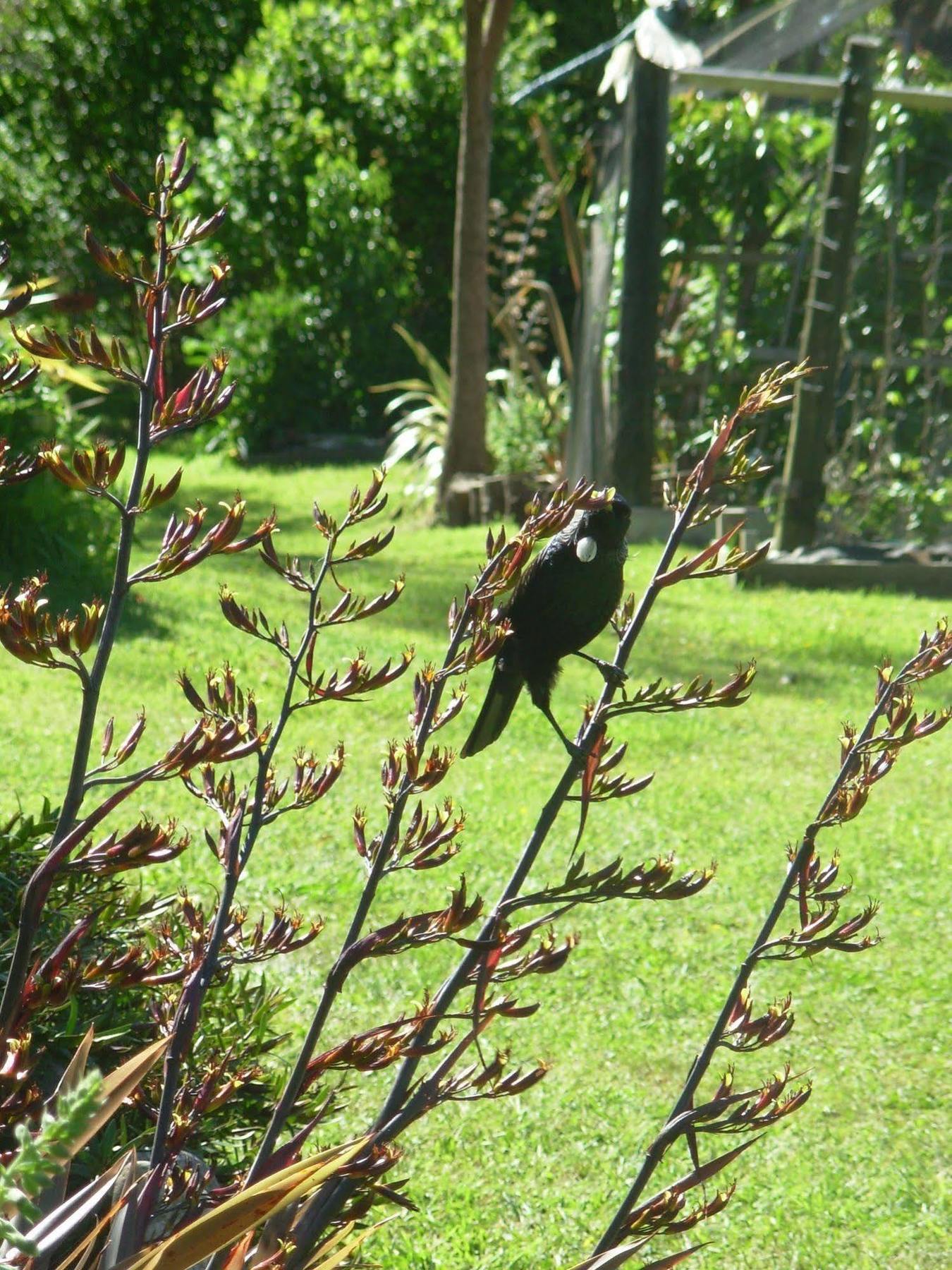 Wetland View Park Villa Anatori Eksteriør billede